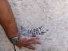 noy.razz Altpins Profile Picture