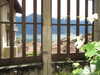 noy.razz Altpins Profile Picture