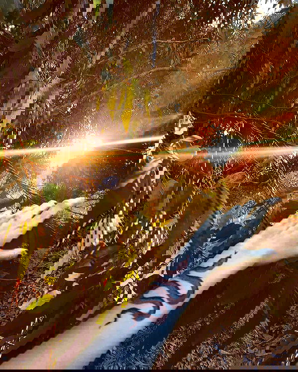 noyaislilith333 noyaislilith333 archive image