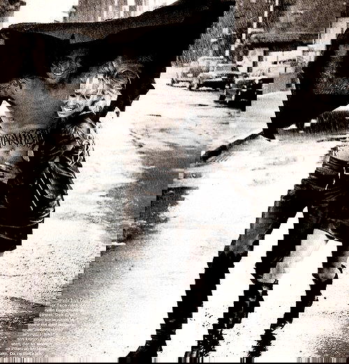 noyaislilith333 noyaislilith333 archive image