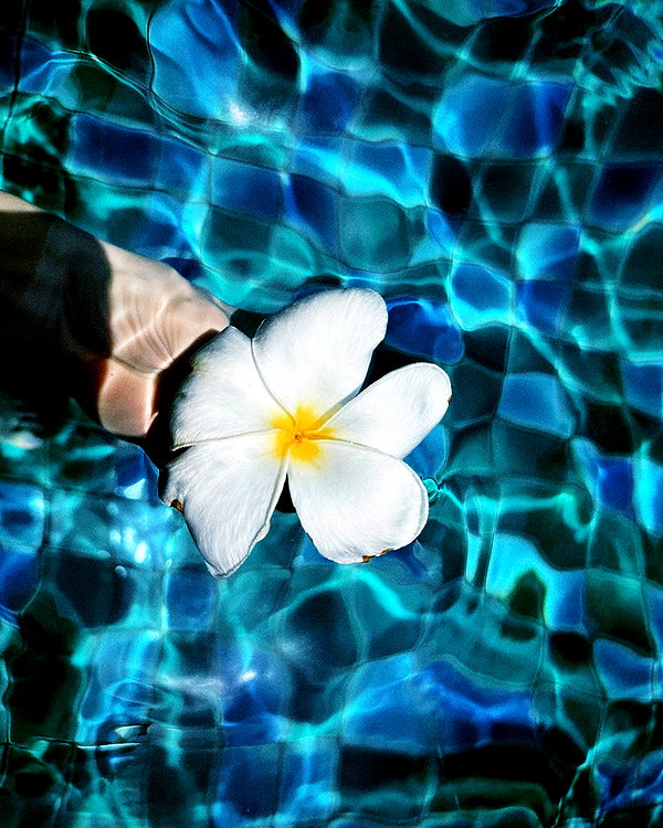 nuanyn instagram image archive image
