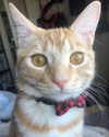 nyachty Altpins Profile Picture