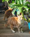 nyachty Altpins Profile Picture
