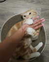 nyachty Altpins Profile Picture