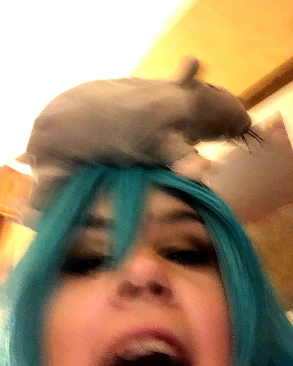 nyannyancosplay instagram image archive image