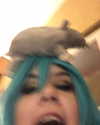 nyannyancosplay Altpins Profile Picture