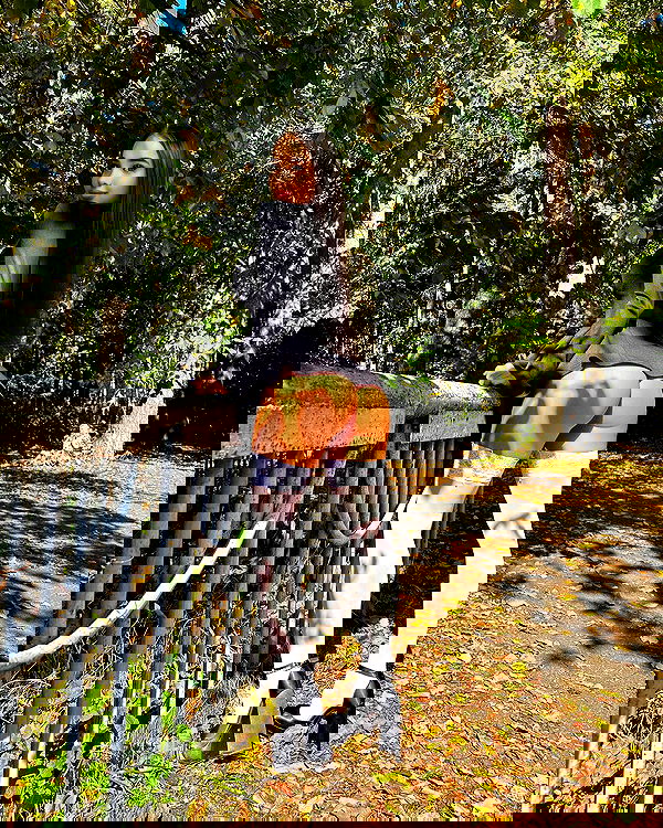 nyityam nyityam archive image