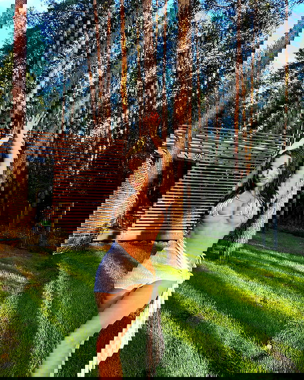 nyityam nyityam archive image