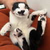 okokveronica.co Altpins Profile Picture