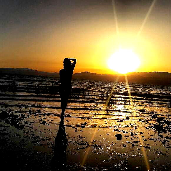 omer.lev1 instagram image archive image