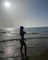 omer.lev1 Altpins Profile Picture