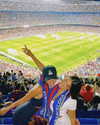 omer.lev1 Altpins Profile Picture