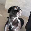 onlmeow Altpins Profile Picture