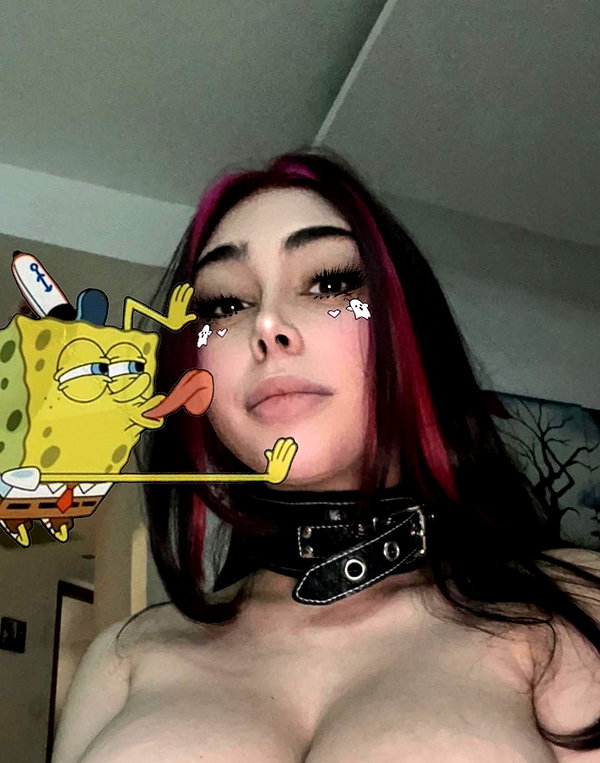 onlmeow instagram image archive image