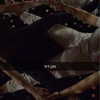 osher_yakir Altpins Profile Picture