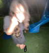 osher_yakir Altpins Profile Picture