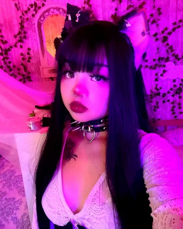 petitekitti instagram image archive image