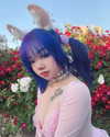 petitekitti Altpins Profile Picture