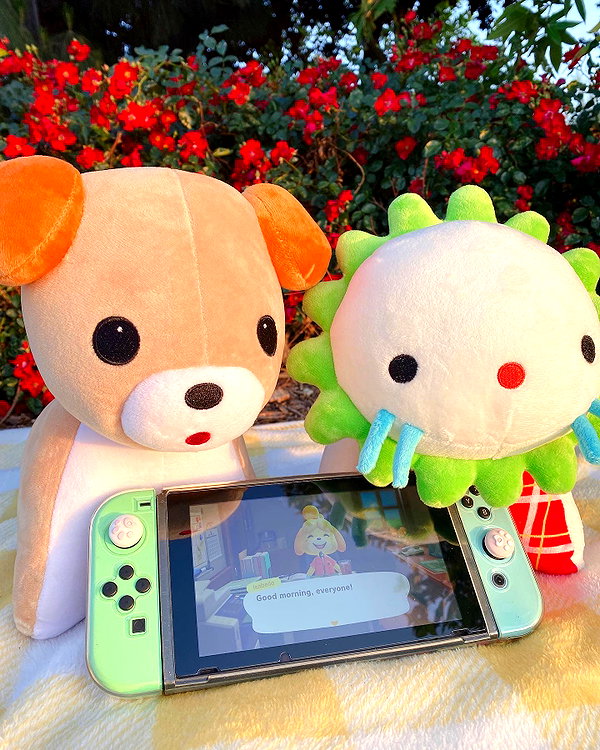petitekitti instagram image archive image