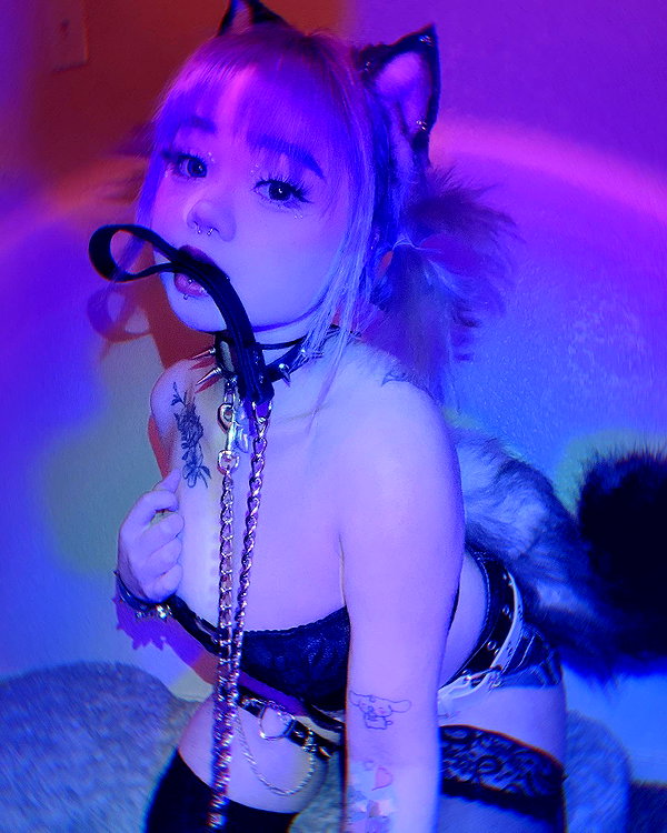 petitekitti instagram image archive image