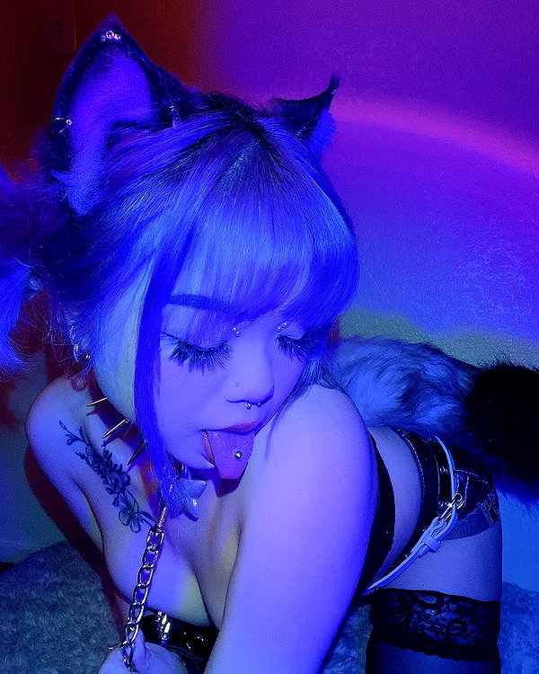 petitekitti instagram image archive image