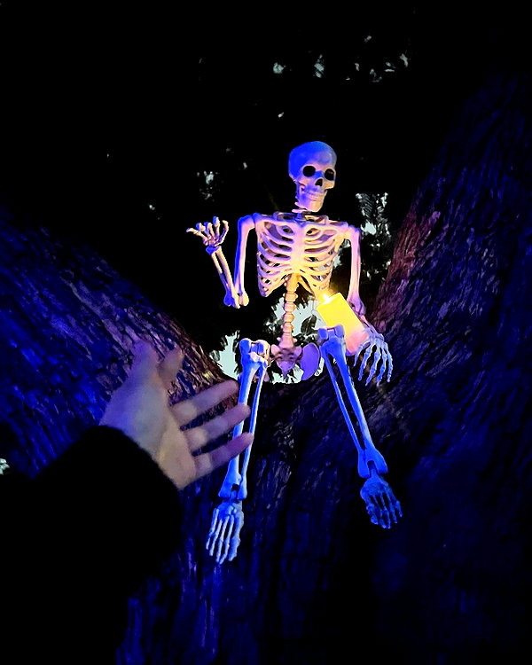 petitekitti instagram image archive image