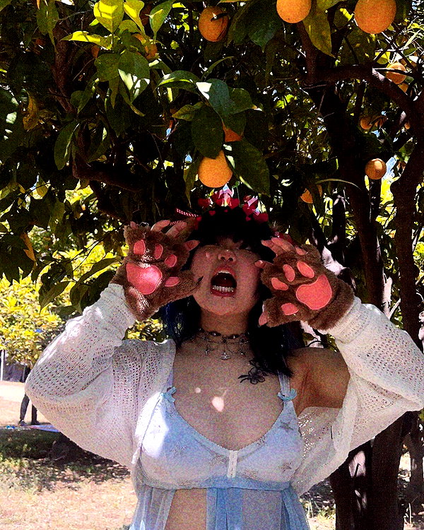 petitekitti instagram image archive image