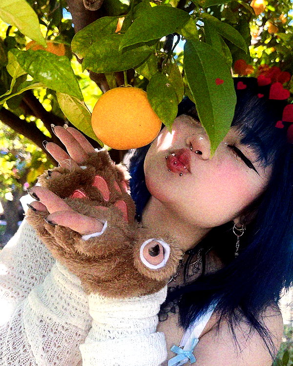 petitekitti instagram image archive image