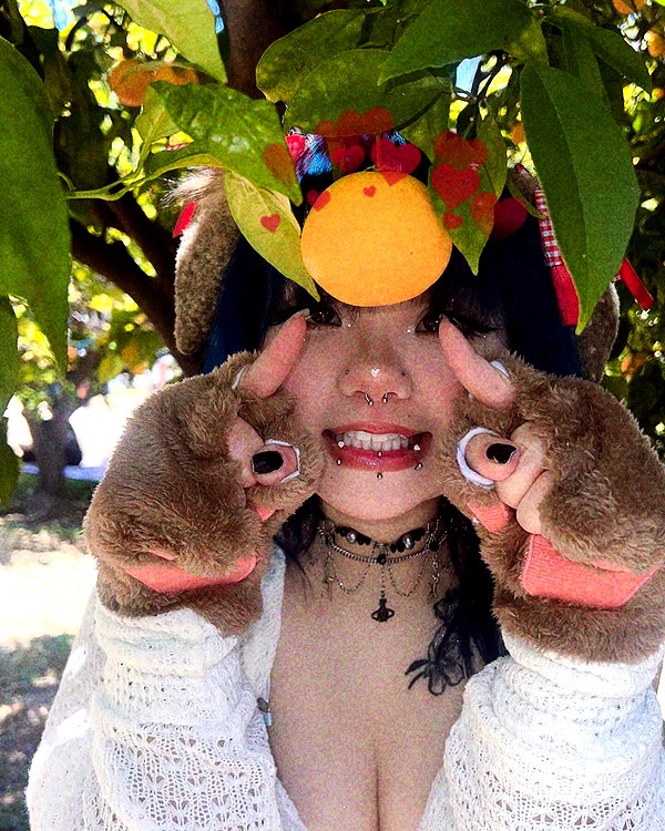 petitekitti instagram image archive image