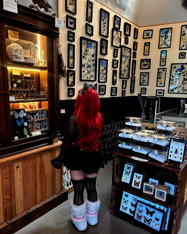 petitekitti instagram image archive image