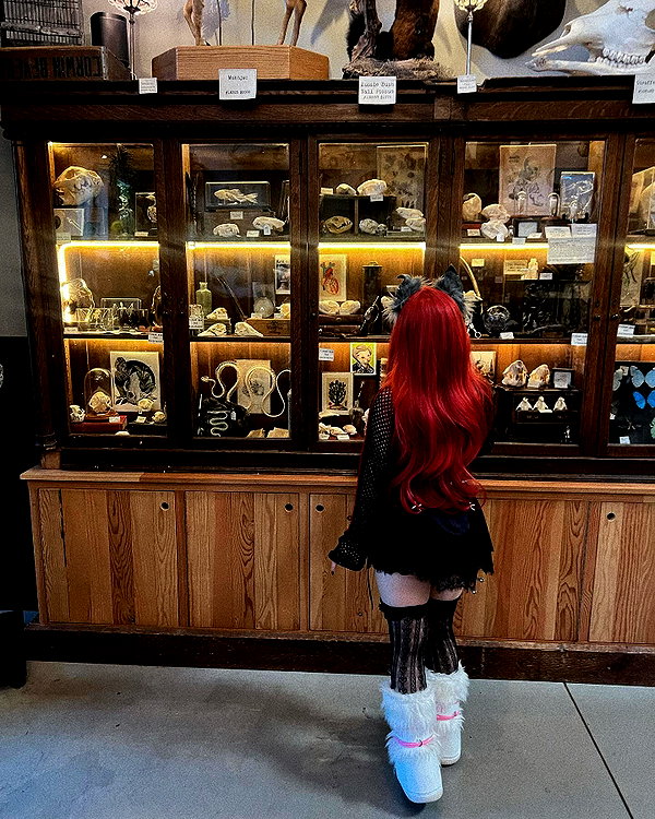 petitekitti instagram image archive image