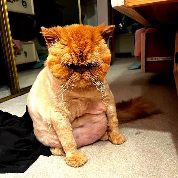 peytonjacks instagram image archive image
