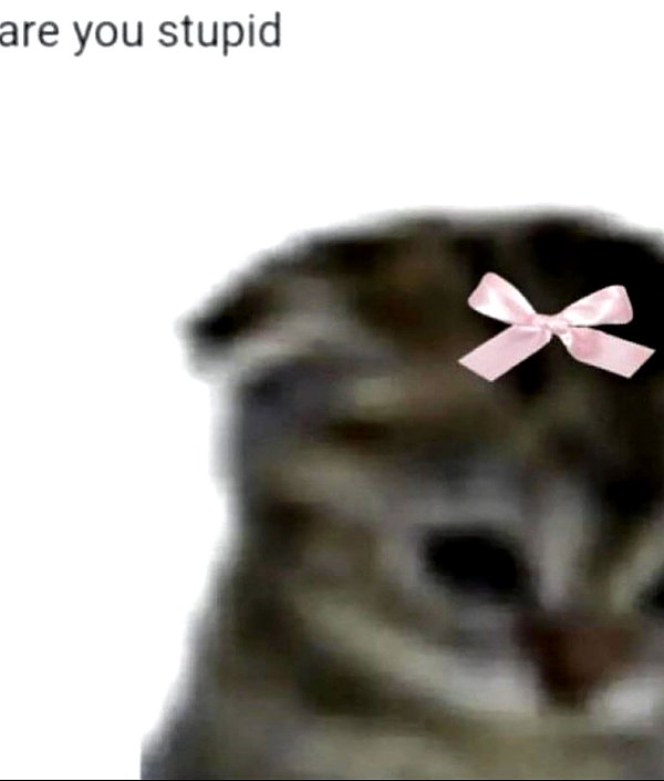 piper.foxx instagram image archive image