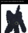 piper.foxx Altpins Profile Picture