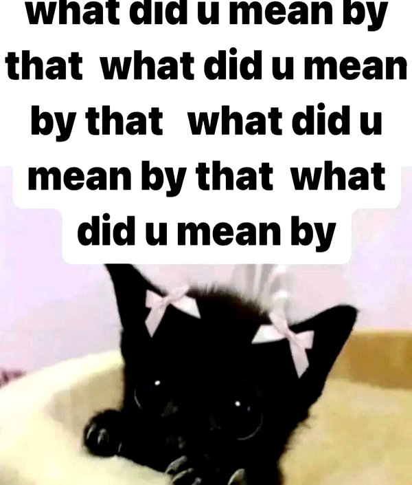 piper.foxx instagram image archive image