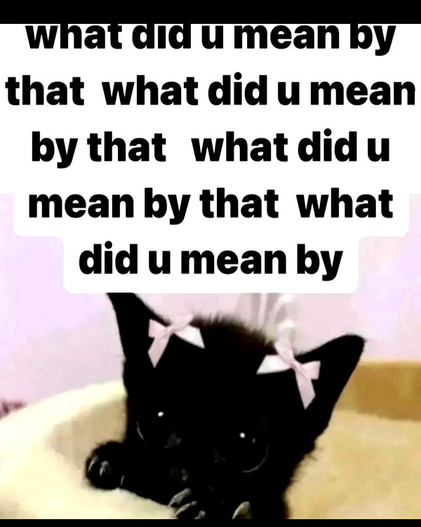piper.foxx instagram image archive image