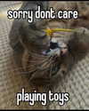 piper.foxx Altpins Profile Picture