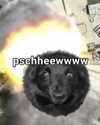 piper.foxx Altpins Profile Picture
