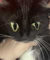 piper.foxx Altpins Profile Picture