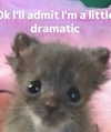 piper.foxx Altpins Profile Picture