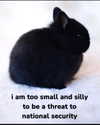 piper.foxx Altpins Profile Picture
