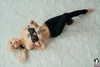 pixie___sg Altpins Profile Picture