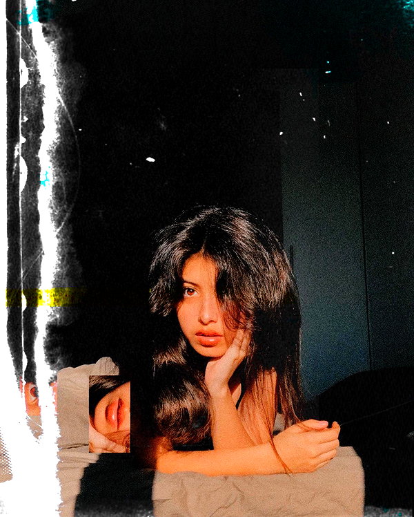 protheme instagram image archive image