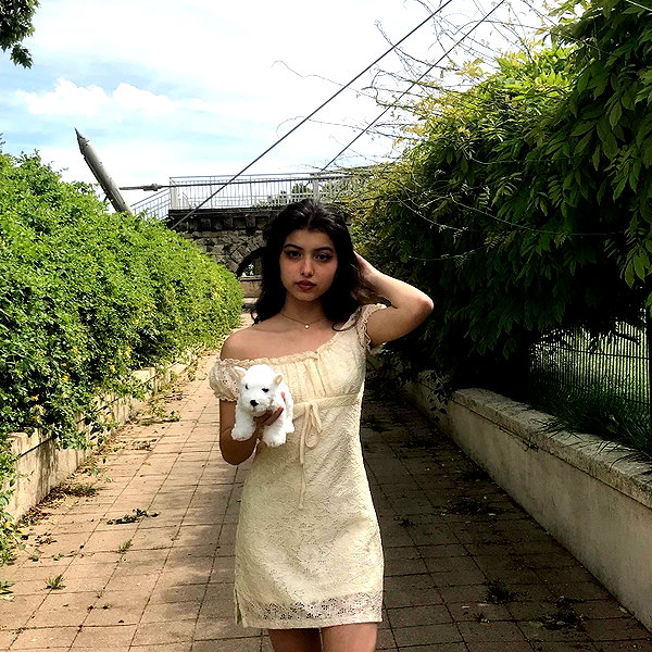 protheme instagram image archive image