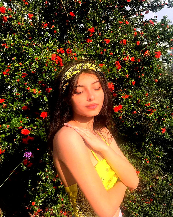 protheme instagram image archive image