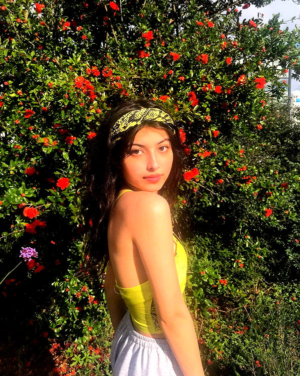 protheme instagram image archive image