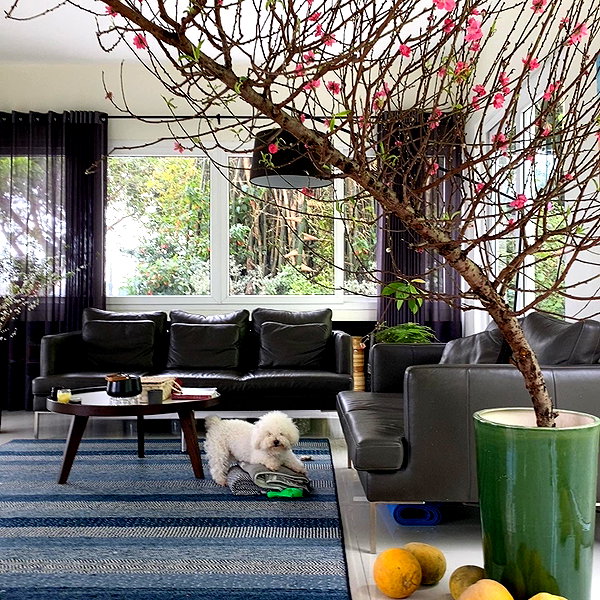 protheme instagram image archive image