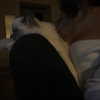 protheme Altpins Profile Picture