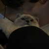 protheme Altpins Profile Picture