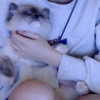 protheme Altpins Profile Picture